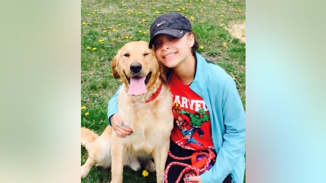 Chicago woman wants her dog back, says pound gave him up for adoption despite collar with contact info