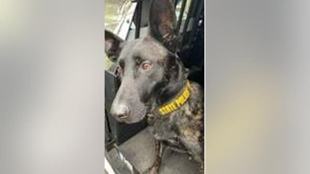 Suspect wanted by Orland Park, Chicago police apprehended by K-9