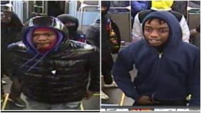 Pair sought for robbery, battery on Red Line train in Loop