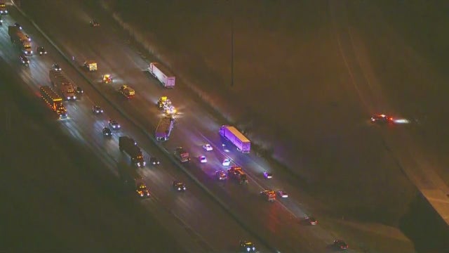 Truck hauling cattle overturned on I-80; cows were 'busy eating grass' following crash
