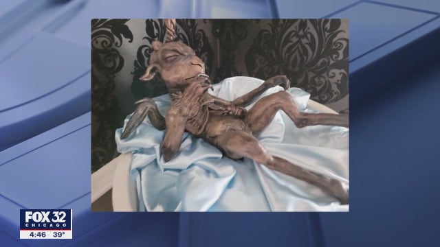 Illinois Satanic Temple displays deity at Illinois Capitol