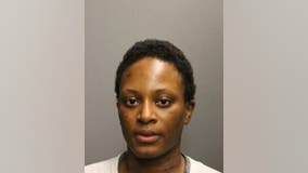 Chicago woman charged after stabbing 80-year-old, 60-year-old and dog