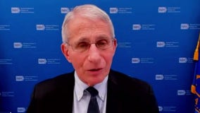 US omicron peak: Fauci predicts steep drop in cases toward 'end of January'