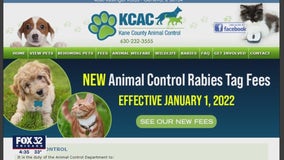 Kane County raises salaries for animal control workers