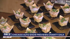 Chicago Auto Show previews charity gala