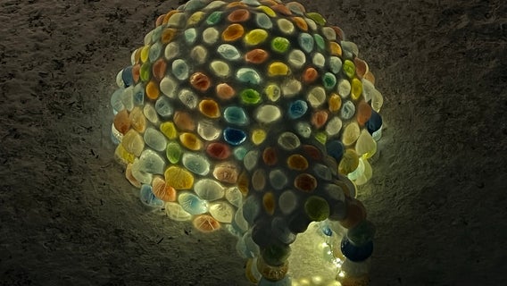 SO COOL: Suburban Chicago family builds glorious glowing igloo made of colored ice