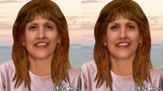 Investigators identify woman nearly 30 years after remains found in Illinois