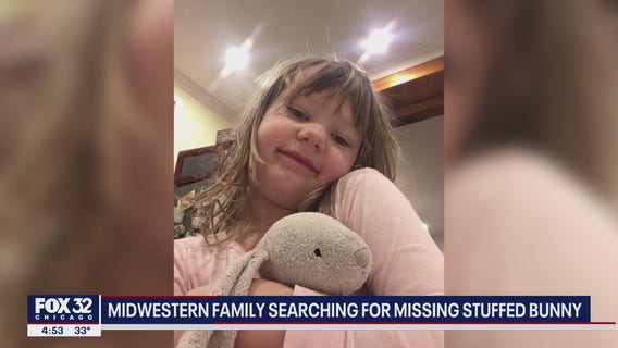 Michigan family asks Chicagoans to be on the hunt for lost toy bunny