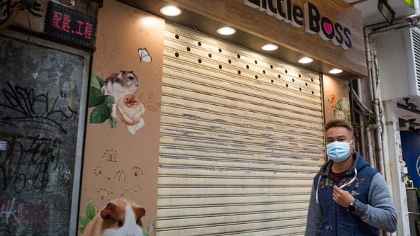 Hong Kong to kill 2,000 animals after pet store hamsters, employee test positive for COVID-19