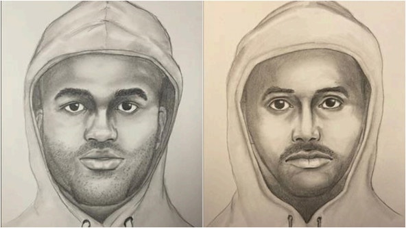 Police release sketches of suspects wanted in Green Oaks carjacking