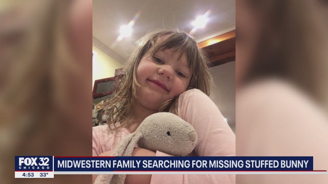 Michigan family asks Chicagoans to be on the hunt for lost toy bunny