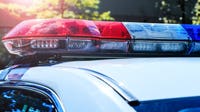 Suburban Chicago teen allegedly planned shooting at elementary school, family member pinned him down