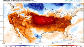 Signs of spring in Chicago popping up early