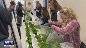 Dyer students growing fresh food through hydroponics