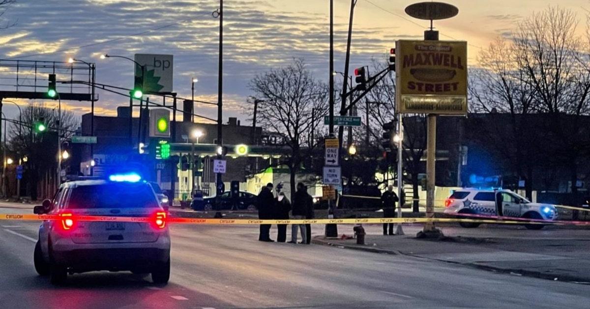 2 Chicago police officers shot on the West Side; suspect in custody ...