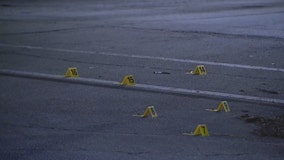 Girl shot and critically wounded while out celebrating 12th birthday with family in West Englewood