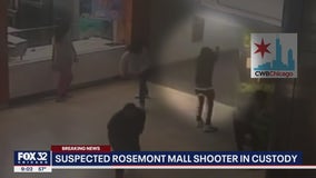 Fashion Outlets of Chicago shooting suspect taken into custody
