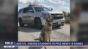 Lake County Sheriff's Department asking kids to name two new K9 officers