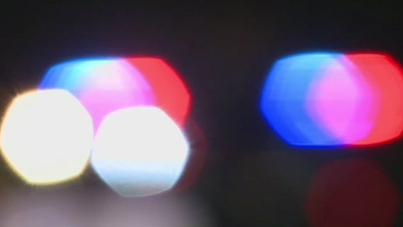 Boy shot by Sauk Village police officer after resisting arrest