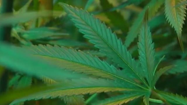 Marijuana legalization bill expected to reach US House next week