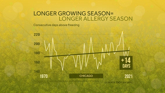 Allergy sufferers dealing with earlier springs and longer summers in Chicago