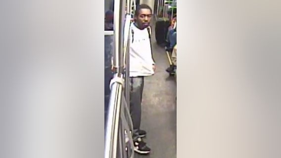 CTA stabbing suspect sought in Red Line attack