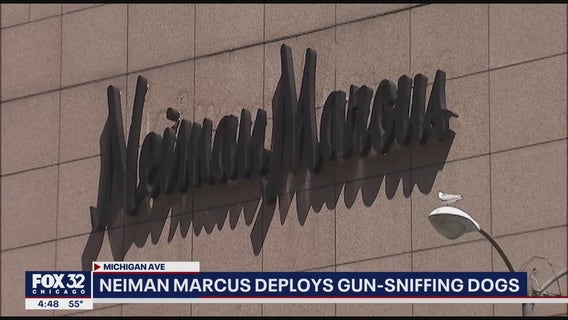 Gun-sniffing dog makes first arrest at Chicago retail store; man had loaded gun, stole $1K worth of items