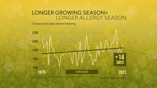 Allergy sufferers dealing with earlier springs and longer summers in Chicago