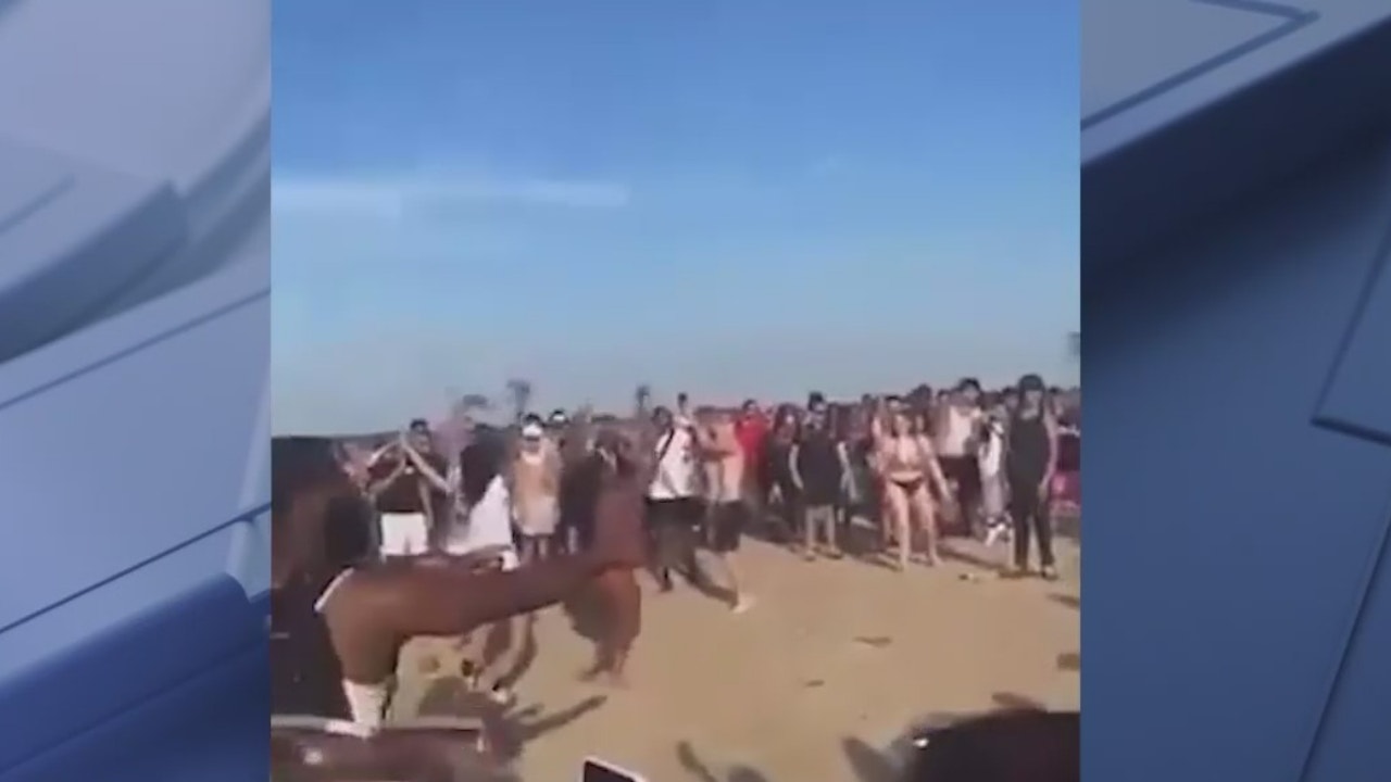Chicago beachgoers assault police officers on Memorial Day - Vimarsana News