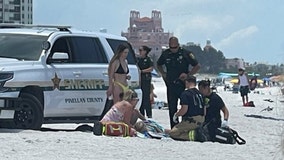 Pinellas sheriff's office tight-lipped after deputy runs over sunbather