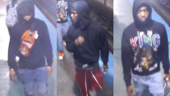 Police seek 3 men who attacked, robbed man at Loop Brown Line station