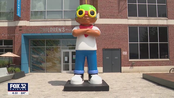 'Flyboy' at Navy Pier: Chicago artist opens new exhibition