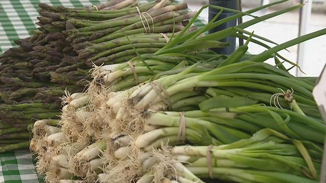 Daley Plaza Farmers Market opens Thursday