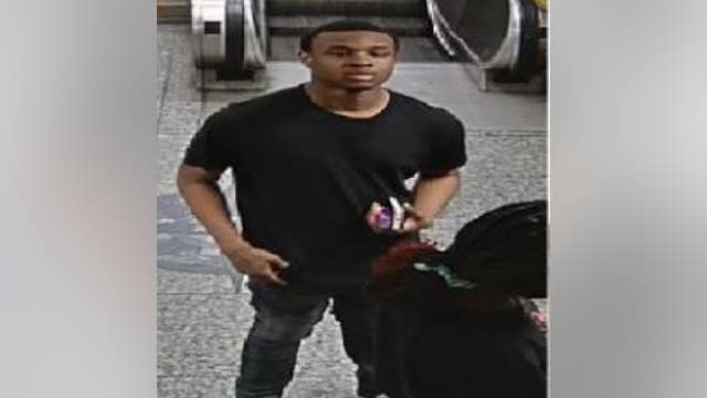 CTA robbery: Suspect wanted for grabbing purse from victim on Blue Line platform in the Loop