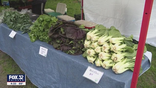 Green City Market in Lincoln Park officially open for the summer