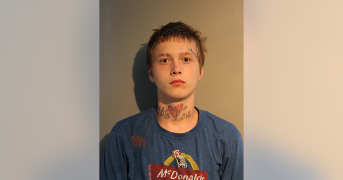 Man, 19, charged with shooting Chicago police station | FOX 32 Chicago
