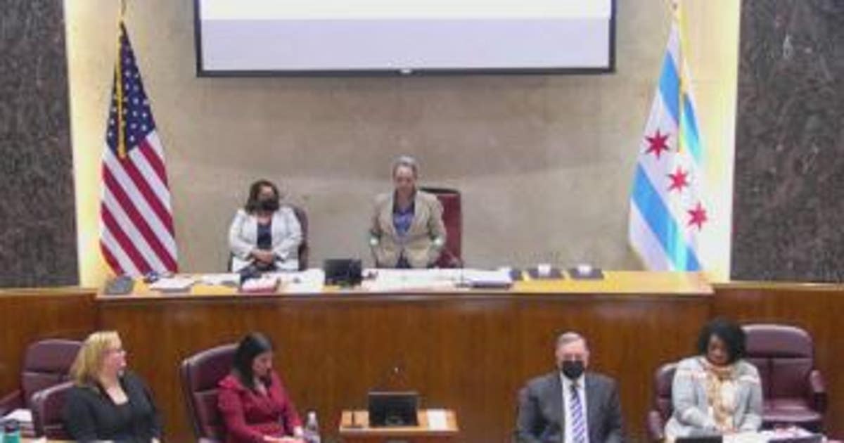 Chicago City Council urged to create guaranteed income program for ...