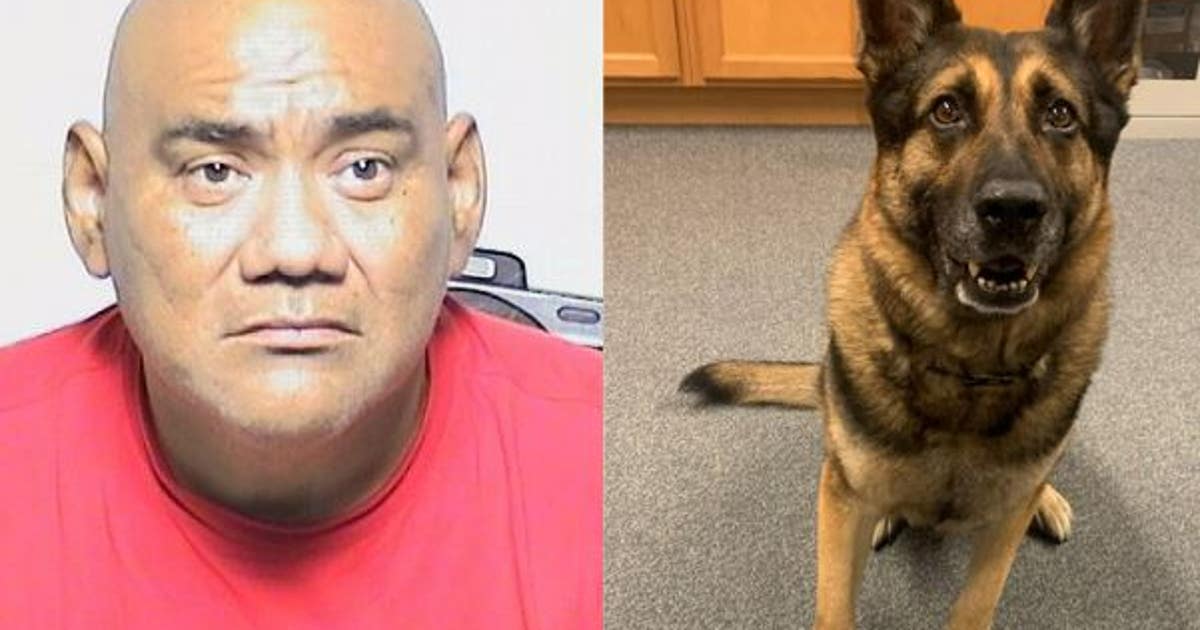 Man arrested after Lake County Sheriff's K9 finds over 2 kilograms of ...