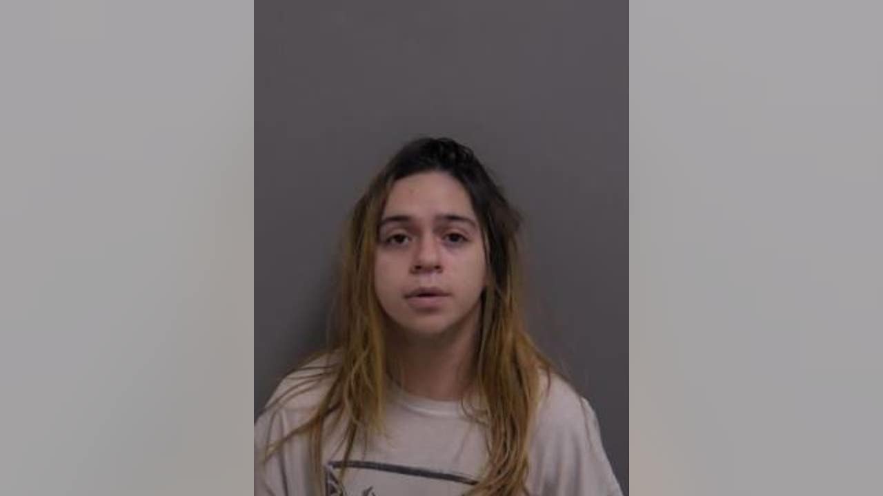 Palos Heights man charged with possessing child pornography - Vimarsana News
