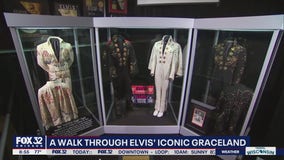 Exploring firsthand the mystique and grandeur of Graceland