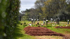 Wrong body dug up by police in cemetery amid cold case investigation