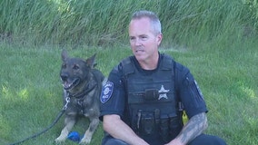 Aurora police use new tech to monitor temperatures of K9s on hot days