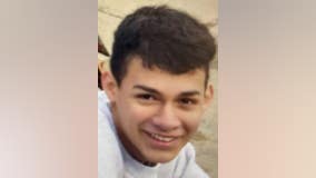Boy, 16, reported missing from McKinley Park for over a month