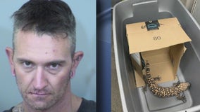 Arizona man accused of DUI had Gila monster in his car: police