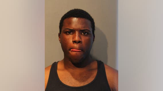 Chicago man carjacked 77-year-old woman, beat up another woman: police