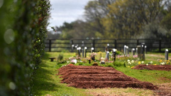 Wrong body dug up by police in cemetery amid cold case investigation