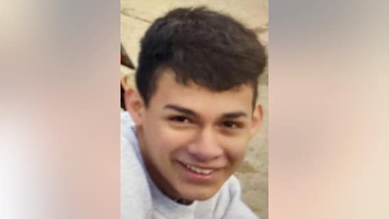 Boy, 16, reported missing from McKinley Park for over a month
