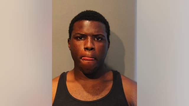 Chicago man carjacked 77-year-old woman, beat up another woman: police