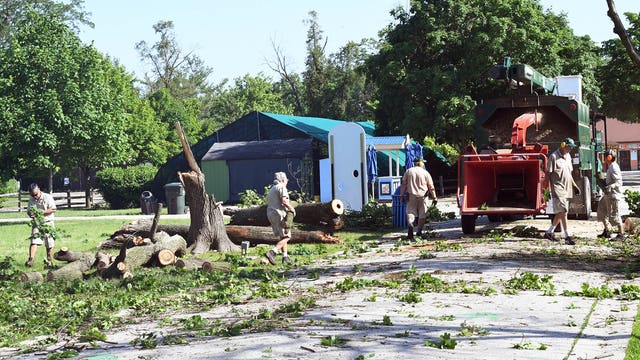 Brookfield Zoo among venues torn up by powerful storm