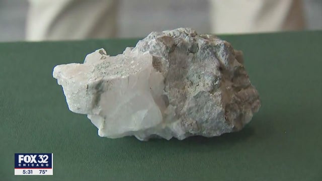 Pritzker makes dolostone the official rock of Illinois — all thanks to some 5th graders